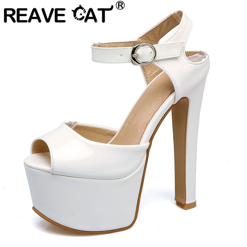 REAVE CAT Fashion Women Sandal - Women'S Shoes Plus Size review and price