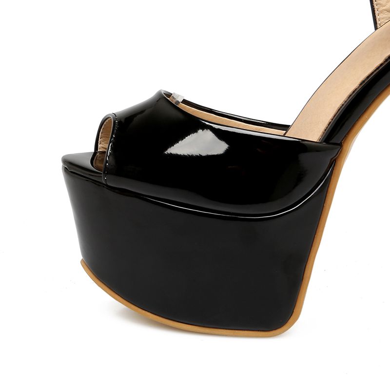 REAVE CAT Fashion Women Sandal - Women'S Shoes Plus Size review and price